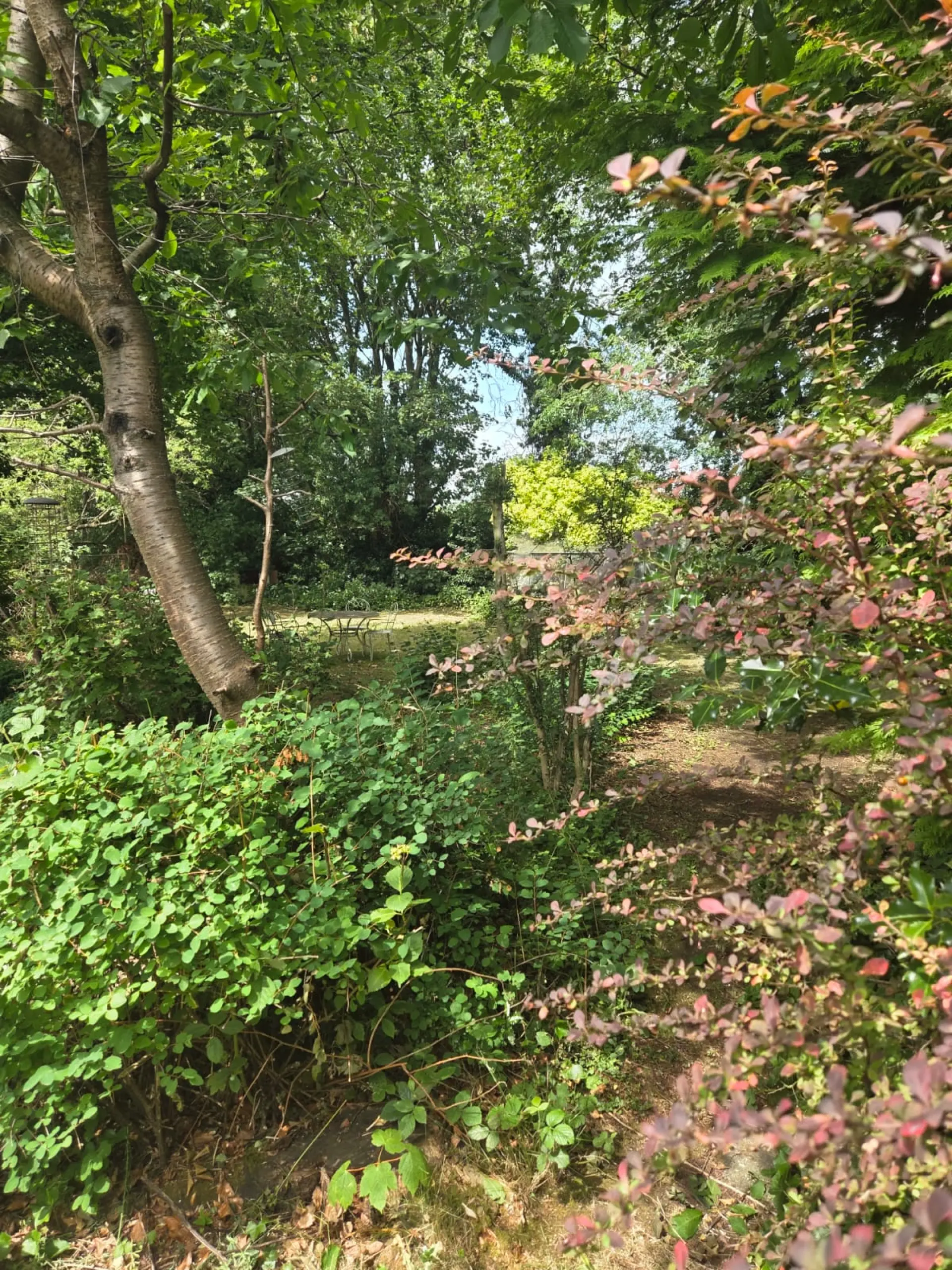 Regular Garden Maintenance Plans