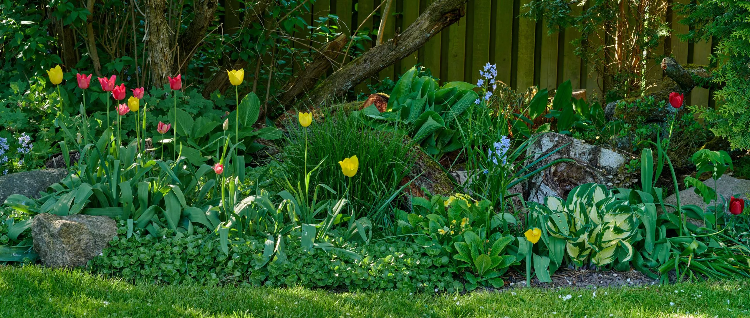 How Garden Clearance Helps Improve Property Value